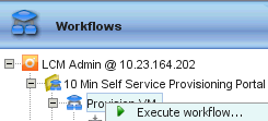 vCenter Orchestrator Client execute workflow